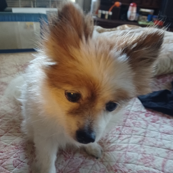 Meet your Posher, Ruth - Picture 2 of 2